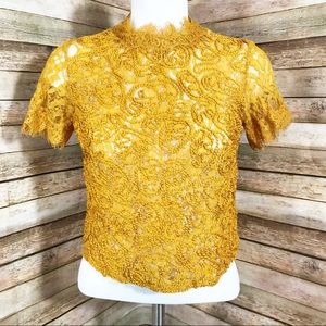 Zara Trafaluc TRF yellow gold embroidered top
